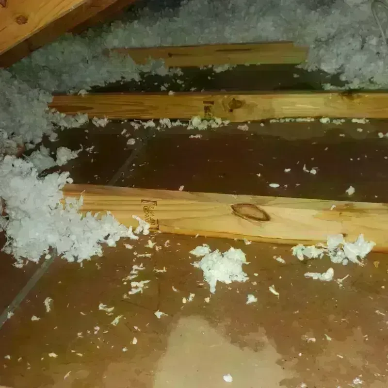 Attic Water Damage in Prestonsburg, KY